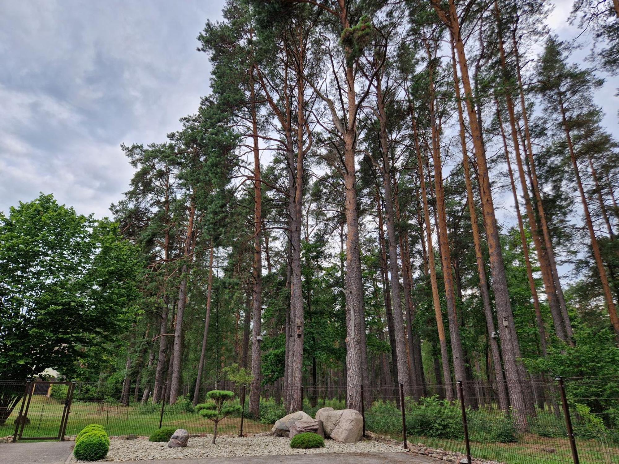Apartamentai Renata Druskininkai Buitenkant foto